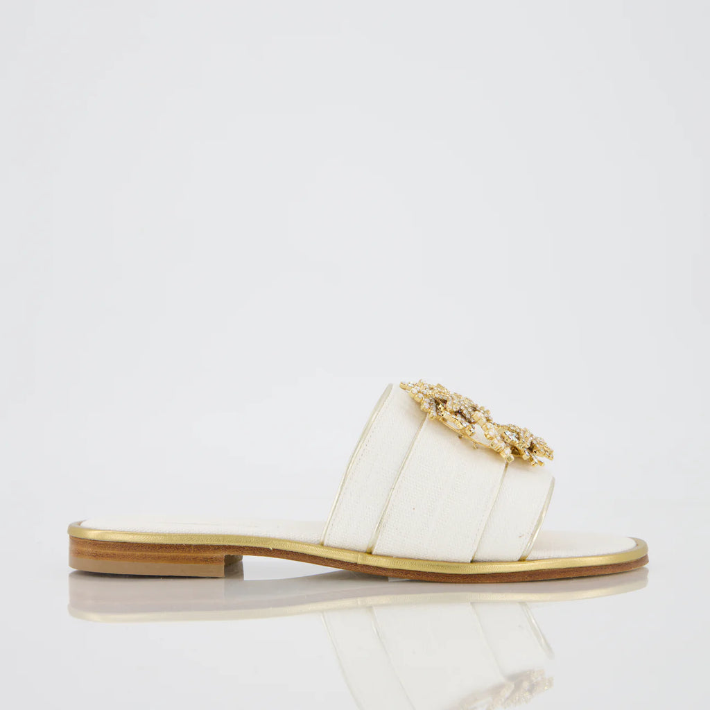 Sandali con coralli e stelle marine