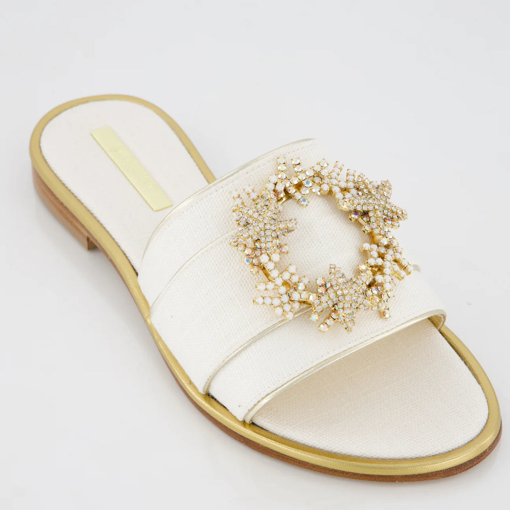 Sandali con coralli e stelle marine