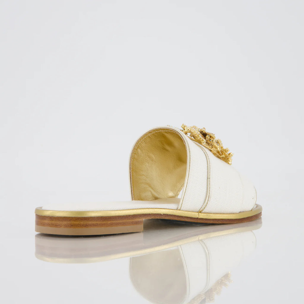 Sandali con coralli e stelle marine